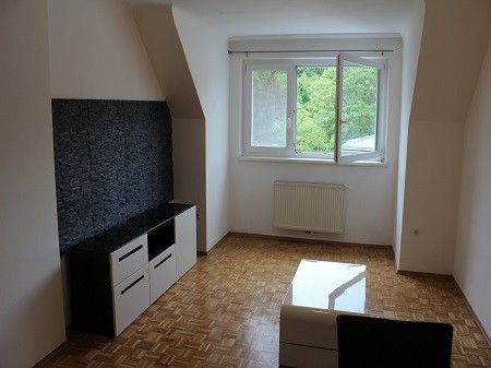 wien wohnungsräumung